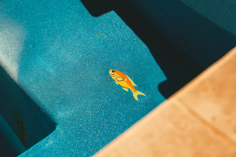 Goldfish mosaic tile on the floor of a pool step in Morganville NJ