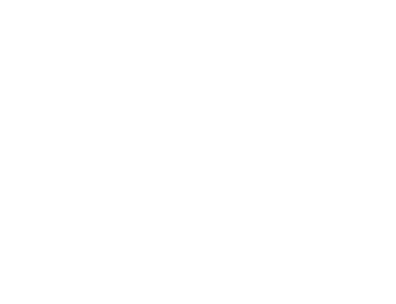 Morris County Alliance logo